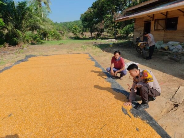 Dukung Program Nasional, Polsek Pasir Penyu Lakukan Sambang Ketahanan Pangan Di Kelurahan Tanah Merah