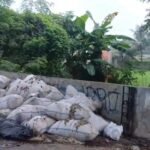 Puluhan Karung Limbah Jeroan Ayam Dibuang Sembarangan, Warga Keluhkan Bau Menyengat