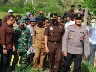 Perkuat Ketahanan Pangan Daerah, Kapolres Hadir Untuk Panen Jagung Kwartal II di Paya Seunara
