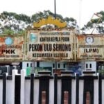 Insentif Anggota BHP Pekon Ulu Semong April 2026 Diduga Ditahan Sepihak, Dalih untuk Bayar Hutang ke Inspektorat