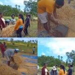 Gotong Royong Tetap Hidup di Tengah Masyarakat Desa Kandar