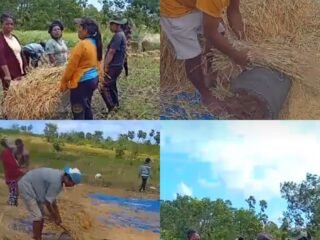 Gotong Royong Tetap Hidup di Tengah Masyarakat Desa Kandar