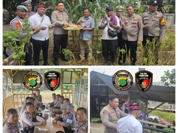 Kegiatan PANEN Jagung Raya Serentak Kuartal ll dan Ground Breaking Gudang Ketahanan Pangan Polri di Polsek Pamulang 