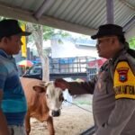 Mas Bhabin Polisi Sahabat Semua Kalangan , Aipda Nanang Sumantri SH. Monitoring Lapak Hewan Qurbab Dan Pastikan Ternak di Lamongan Aman Dari PMK
