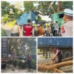 Respon CEPAT Satlantas dan Samapta Polres Cianjur Tangani Truk Kontainer Tersangkut Dahan Pohon