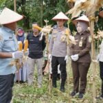 Kapolres Kuansing Bersama Forkopimda Gelar Panen Raya Jagung Serentak Dukung Ketahanan Pangan
