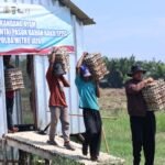 Panen 3.000 Telur di Bekasi, Polda Metro Jaya Salurkan ke SPPG