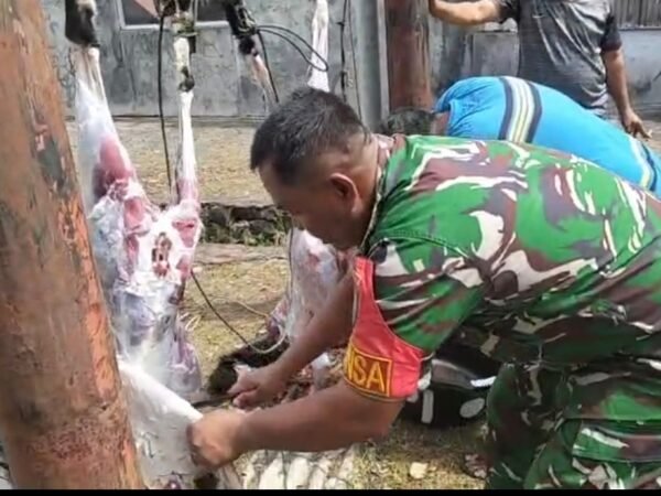 Babinsa Kuta Timu Bantu Penyembelihan Hewan Kurban, Wujud Kebersamaan dan Kepedulian Sosial