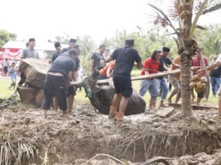 POLRES HALMAHERA SELATAN GELAR PEMOTONGAN DAN PEMBAGIAN HEWAN QURBAN