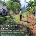 Polisi Cinta Petani, Polsek Kuantan Mudik Cek Penggemburan Lahan Tanaman Jagung Di Desa Teluk Beringin