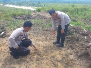Polsek Kuantan Mudik Lakukan Pengecekan Tanaman Jagung, Dukung Program Swasembada Pangan Nasional 2026