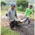 Pengusaha Lokal Peduli Infrastruktur, H. Ujang “Kumis” Suratman Perbaiki Jalan Desa dengan Dana Pribadi