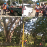 DISHUB & PLN BULUKUMBA KOLABORASI, MANAGER H. ZAENUDDIN PIMPIN PANGKAS POHON DI KAMPUNG KIRASA*