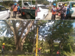 DISHUB & PLN BULUKUMBA KOLABORASI, MANAGER H. ZAENUDDIN PIMPIN PANGKAS POHON DI KAMPUNG KIRASA*