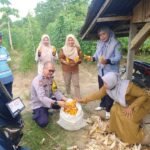 Polsek Lirik Panen Kuartal II Jagung Pipil Bersama BUMDes Barokah Di Sidomulyo