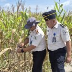 DUKUNG KETAHANAN PANGAN NASIONAL, LAPAS LABUHAN RUKU PANTAU PERSIAPAN PANEN DAN PEMBANGUNAN MESS SAE DI AIR JOMAN