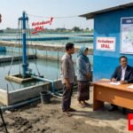 Diduga Sumur Bor Milik Tambak Udang PT MTS Belum Kantongi Izin Resmi