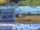 AMGPM Carry Kandar Gelar Panen Padi Bersama