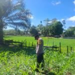 Polsek Hulu Kuantan Cek Perkembangan Tanaman Jagung,  Ketahanan Pangan Di Desa Sungai Alah