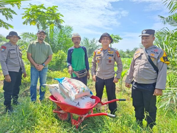 Dukung Ketahanan Pangan, Polsek KKH Serahkan Pupuk Dan Urea Periksa Perkembangan Jagung