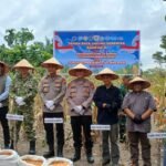 Kapolsek Kampar AKP Asdisyah Mursyid SH Antar Langsung Hasil Panen Petani Ke Bulog, Wujud Nyata Dukungan Ketahanan Pangan Nasional