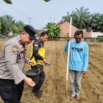 Polri Hadir Bersama Petani, Penanaman Jagung Pipil Di Desa Lubuk Sakai Kembali Dilaksanakan