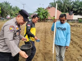 Polri Hadir Bersama Petani, Penanaman Jagung Pipil Di Desa Lubuk Sakai Kembali Dilaksanakan