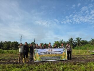 Kapolsek Tapung Kompol Y.E Bambang Dewanto Secara Langsung Menghadiri Penanaman Jagung Kuartal II Tahun 2026 Didesa Sei Putih