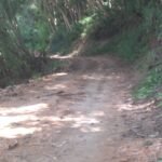 18 KM Jalan Tanuntung-Alorang Basokeng Tembus Bonto Tiro Terabaikan 35 Tahun, Warga Herlang Kesulitan Akses