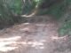 18 KM Jalan Tanuntung-Alorang Basokeng Tembus Bonto Tiro Terabaikan 35 Tahun, Warga Herlang Kesulitan Akses
