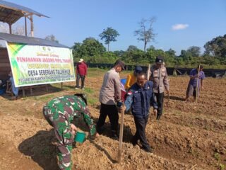 Kapolres Kuansing Dukung Penanaman Jagung Pipil Di Seberang Taluk Hilir Untuk Perkuat Ketahanan Pangan