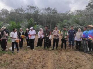 Polsek Benai Dukung Ketahanan Pangan, Laksanakan Penanaman Benih Jagung Pipil Di Desa Geringging Baru