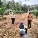 Polres Kuansing Dukung Swasembada Pangan, Penanaman Benih Jagung Pipil Digelar Di Desa Munsalo