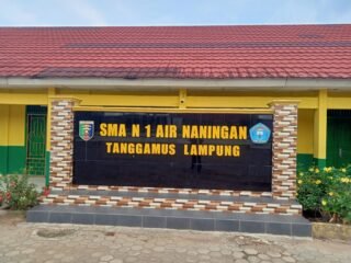 Masyarakat Air Naningan Pertanyakan Hasil SPMB di SMA N Air Naningan, Desak Transparansi dan Evaluasi