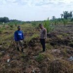 Bhabinkamtibmas Desa Sumber Makmur Dampingi Petani Lakukan Perawatan Tanaman Jagung Dukung Program Swasembada Pangan