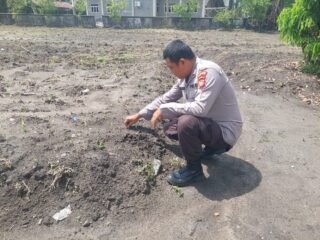 Bhabinkamtibmas Desa Indrapuri Dampingi Kelompok Tani Jaya Abadi Dukung Program Swasembada Pangan