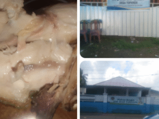 Menu MBG Ayam Mentah Beredar di Bulukumba, Balita Desa Topanda Hampir Jadi Korban*