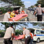 Polres Lamongan Evakuasi Pengendara Motor yang Alami Laka Vs Truk di Jalur Nasional Babat-Lamongan