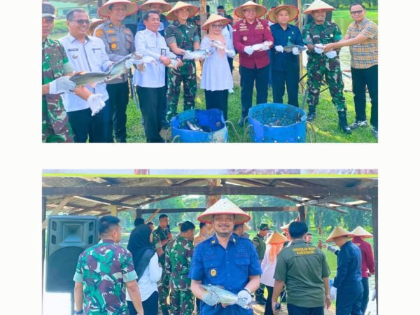 Perkuat Sinergi Bersama Forkopimda Kampar, Kasi Binadik Lapas Bangkinang Hadiri Panen Raya Ikan Patin Yonif 132/BS