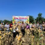Wujud Mendukung Program Swasembada Pangan APBD 2026, Polsek Cerenti Lakukan Panen Raya Jagung Pipil Bumdes Telaga Biru Desa Kampung Baru