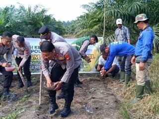 Polsek Tapung Tanam Jagung Kuartal III Wujud Perkuat Swasembada Pangan 2026