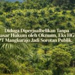 Diduga Diperjualbelikan Tanpa Dasar Hukum Oleh Oknum, Eks HGU PT Mangkurajo, Jadi Sorotan Publik    