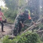 Gotong Royong Bersihkan Pohon Tumbang, Babinsa Paya Seunara Wujudkan Kemanunggalan TNI-Rakyat