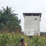 Polsek Logas Tanah Darat Cek Perkembangan Jagung Ketahanan Pangan, Dukung Swasembada Pangan Nasional 2026