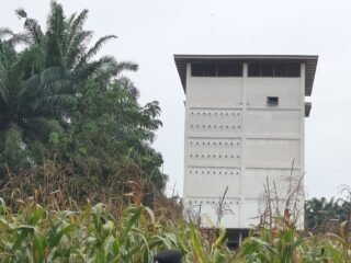 Polsek Logas Tanah Darat Cek Perkembangan Jagung Ketahanan Pangan, Dukung Swasembada Pangan Nasional 2026