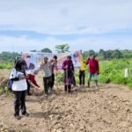 Polres Kuansing Perkuat Ketahanan Pangan, Dukung Asta Cita Presiden Lewat Penanaman Jagung Pipil