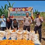Mendukung Swasembada Pangan, Polsek Kampar Kiri Hilir Pantau Panen Jagung Di Lahan PT Yutani Suadiri