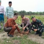 Green Policing, Polsek Singingi Hilir Ajak Warga Desa Petai Tanam Pohon Dan Peduli Lingkungan