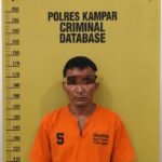 Polres Kampar Tangkap Pelaku Pencabulan, Sebelumnya Korban Di Beri Pil Ekstasi 