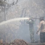 Kapolda Riau Dan Pangdam Tuanku Tambusai Patroli Udara Karhutla, Turun Langsung Padamkan Api Di Pelalawan